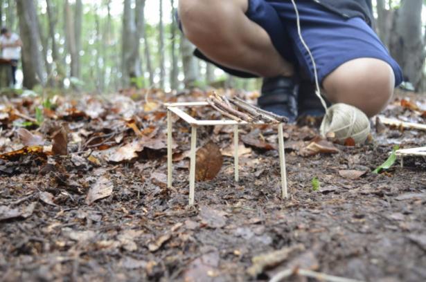 la partie construction en forêt