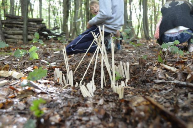 la partie construction en forêt