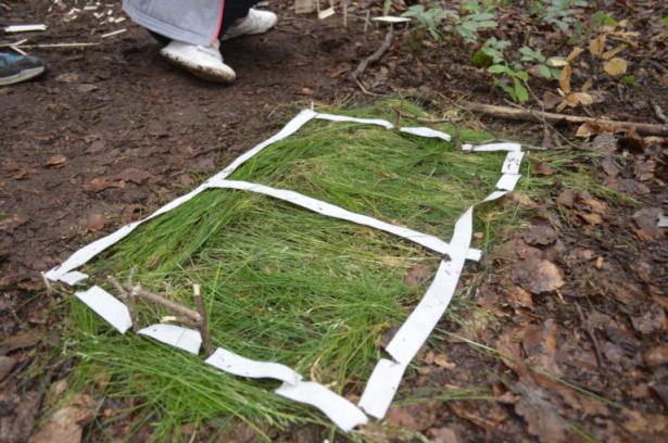 la partie construction en forêt