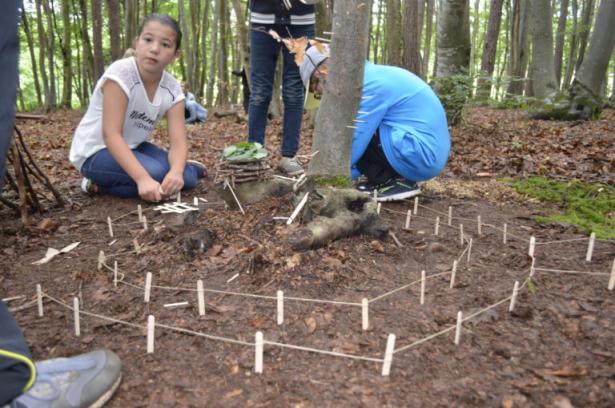 la partie construction en forêt