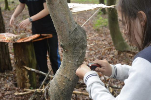 la partie construction en forêt