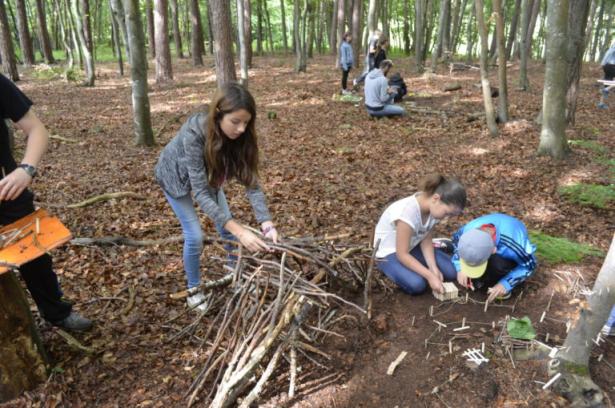 la partie construction en forêt
