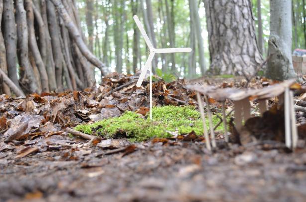 la partie construction en forêt