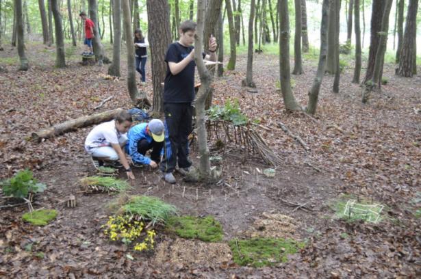 la partie construction en forêt