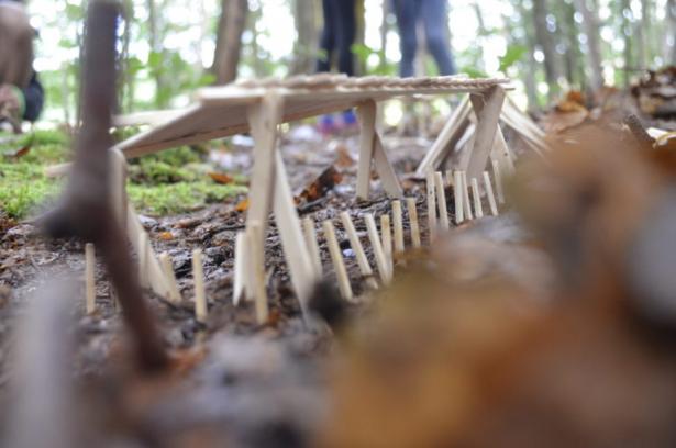 la partie construction en forêt