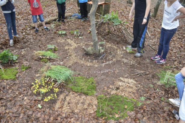 la partie construction en forêt