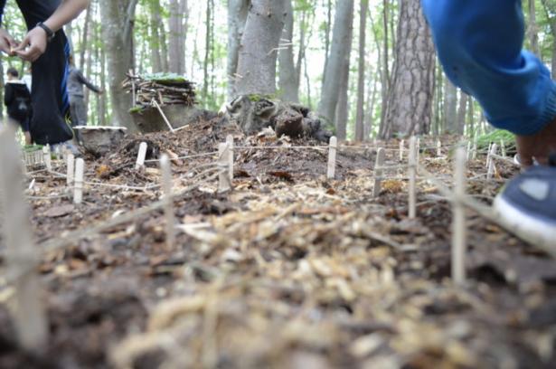 la partie construction en forêt