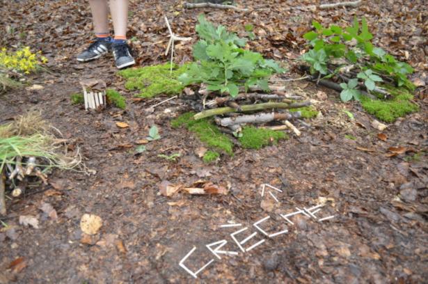 la partie construction en forêt