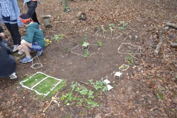 la partie construction en forêt