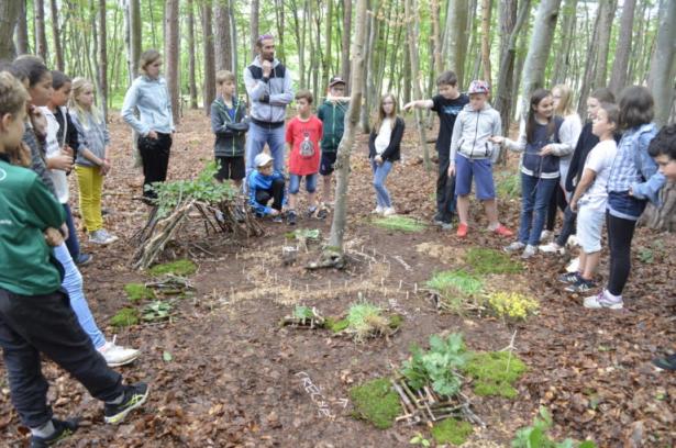 la partie construction en forêt