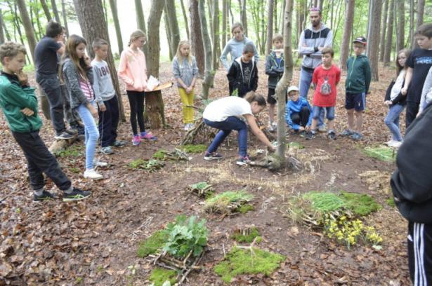 la partie construction en forêt