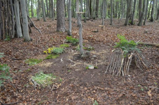 la partie construction en forêt