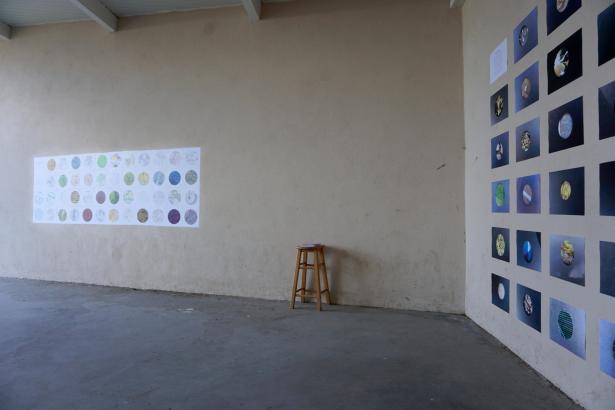 Transmission – Exposition