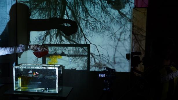 Aquarium studio – projection