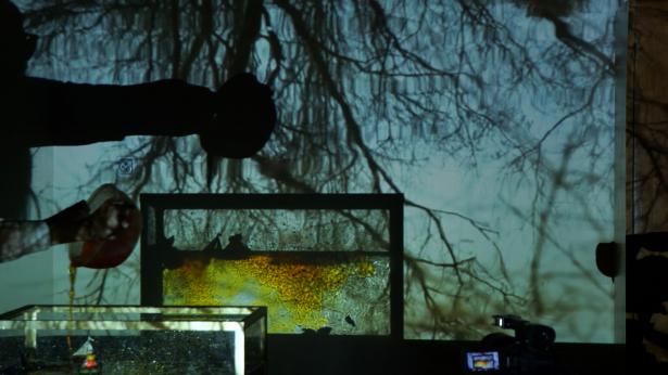Aquarium studio – projection