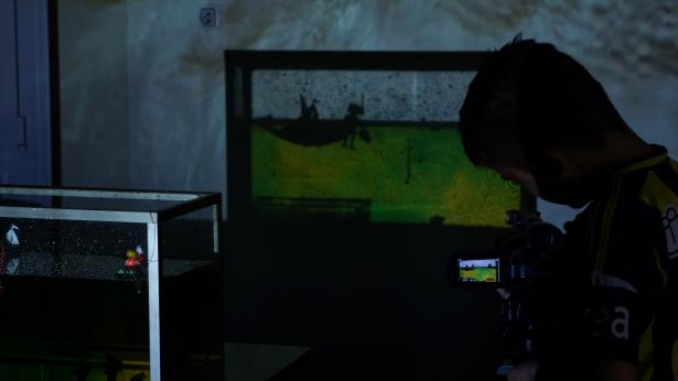 Aquarium studio – projection