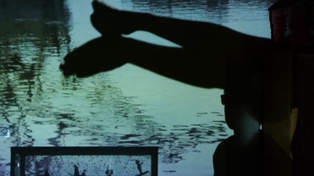 Aquarium studio – projection