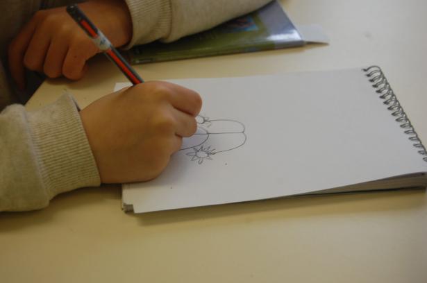 Semaine 3 – Les plantes imaginaires
