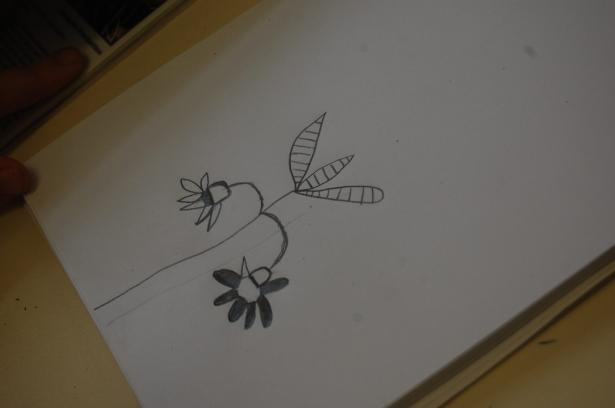 Semaine 3 – Les plantes imaginaires