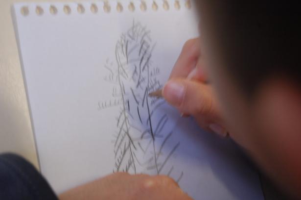Semaine 3 – Les plantes imaginaires