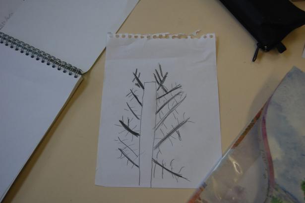 Semaine 3 – Les plantes imaginaires