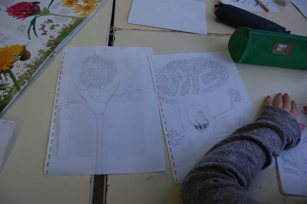 Semaine 3 – Les plantes imaginaires