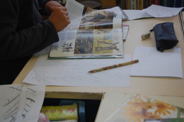 Semaine 3 – Les plantes imaginaires