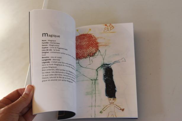 Fin du voyage - Restitution et exposition