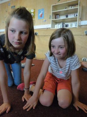 Vendredi 1er juin 2018 – Devenir des loups