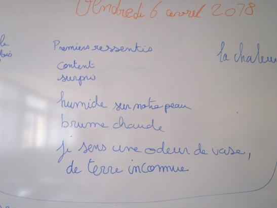 Écrire ensemble
