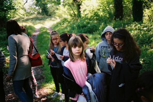 La forêt danse