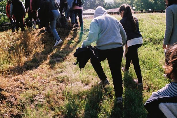 La forêt danse