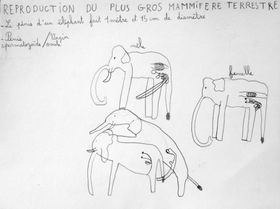 Histoire de savane d'après Gilles Aillaud (4)