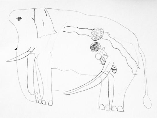 LA REPRODUCTION (2)