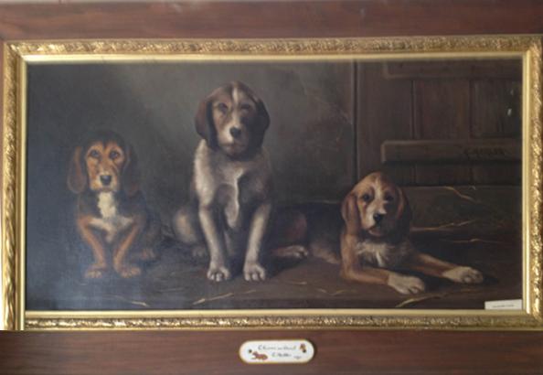 Les chiens