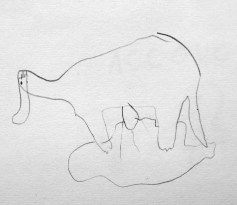 L’ACCOUCHEMENT (3)