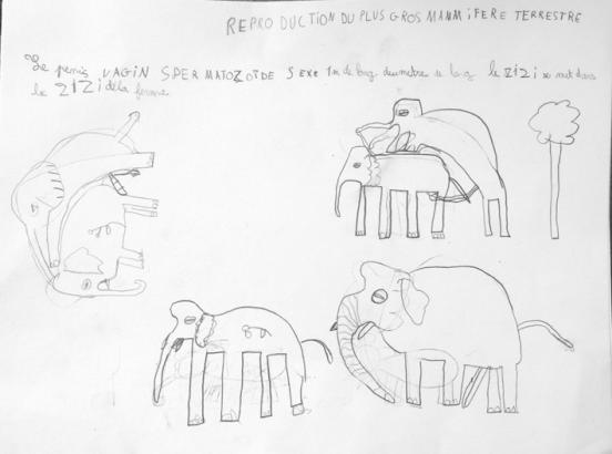 LA REPRODUCTION (2)