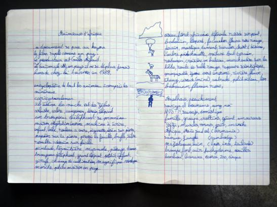 Histoire de savane d'après Gilles Aillaud (4)