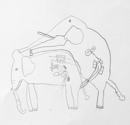 LA REPRODUCTION (2)