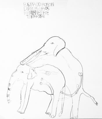 LA REPRODUCTION (2)
