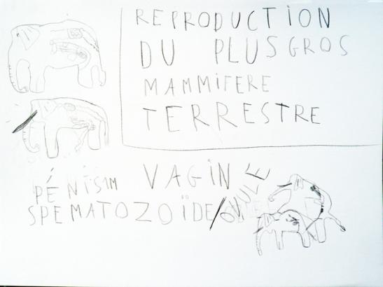 LA REPRODUCTION (2)