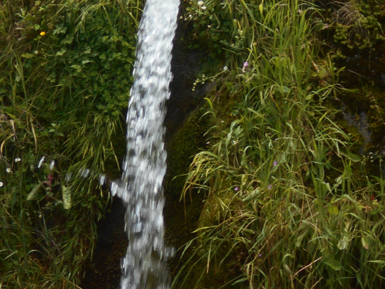 Le ruisseau