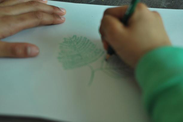 DESSINS D’ENFANTS : Graphique mimosa