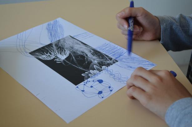 Continuité et progression d’un dessin