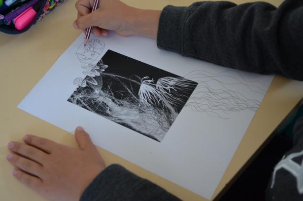 Continuité et progression d’un dessin