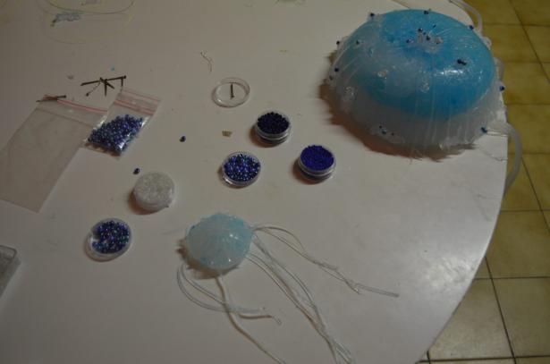 Visites de l’atelier : l’évolution des méduses immortelles