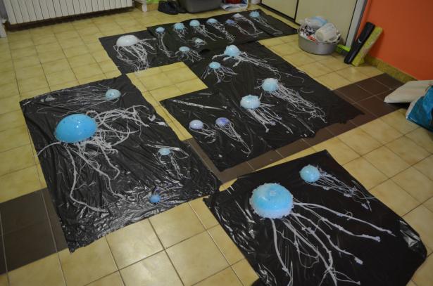 Visites de l’atelier : l’évolution des méduses immortelles