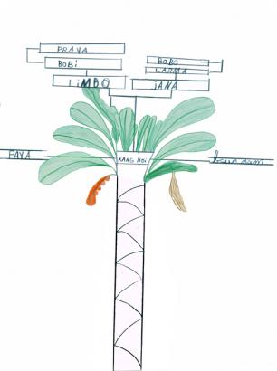 ... des arbres généalogiques