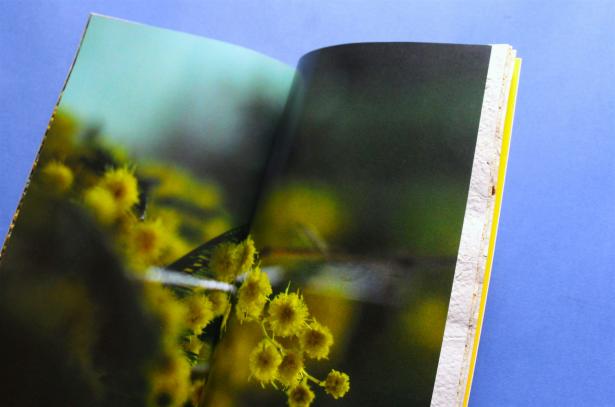 MIMOSA/S/ notre livre de résidence