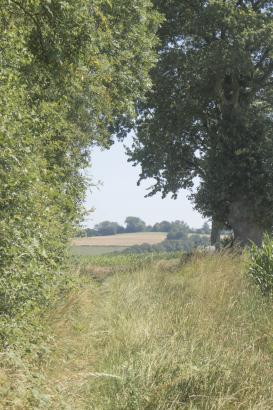 Atelier Réalisation des Visioscopes
